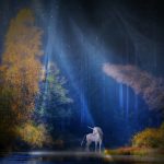 幻想世界は高次に存在する