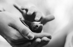 死に目に会えないスピリチュアルな理由がある