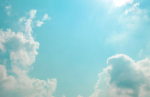 袖すり合うのも多生の縁、私たちは縁によって結ばれています。