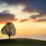 地に根を張り点に伸びる樹