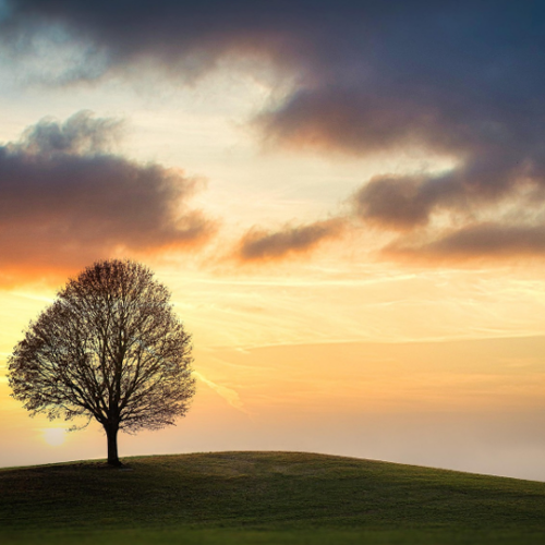 地に根を張り点に伸びる樹