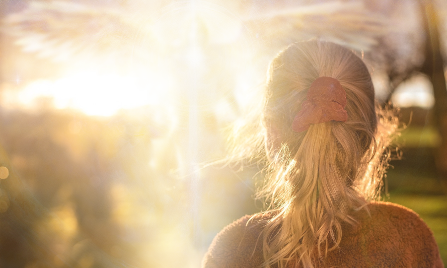 夢の中で出合う